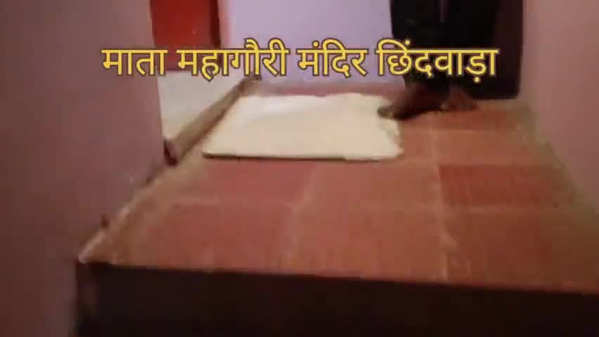 माता महागौरी मंदिर गुलाबरा छिंदवाड़ा, में इस बार 27 घट कलश की स्थापना की गई है. #छिंदवाड़ा #news #नवरात्र 👍❤️❤️🙏🙏🙏👆