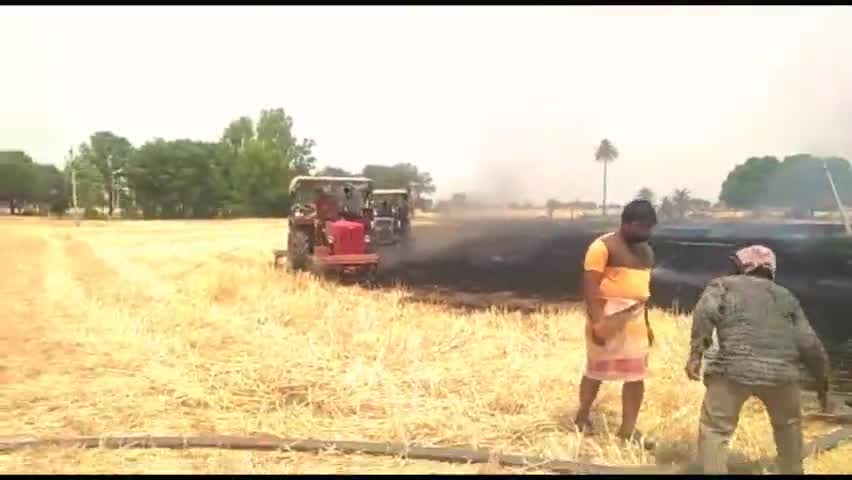 शार्ट सर्किट से गेंहू की नरवाई में लगी आग। वीडियो आया सामने। #Fire #khetibaadi #issue #farming #खेतीबाड़ी