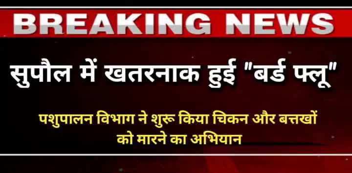 सुपौल जिले में #बर्ड_फ्लू ने बड़ी #दस्तक दी है. जिले के सदर थाना क्षेत्र के #छपकाही गांव के कुछ वार्डों से ली गई!