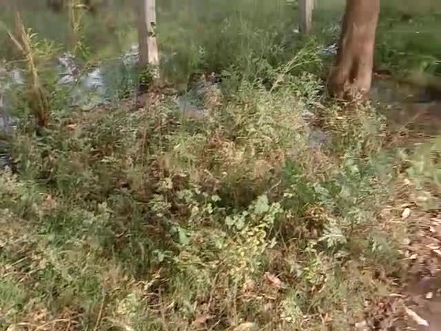 गौतम बुद्ध नगर: #greater noida authority # greater noida jal vibhag # mathurapur 6 % plot