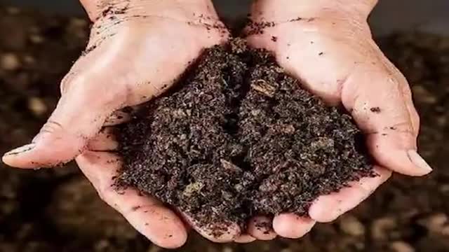 Tamatar और Shimla Mirch से बनी Bread रखेगी सेहत का ध्यान, मोटापा कम करने में भी है फायदेमंद

#tomato #freeelectricity