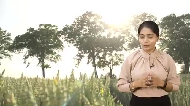 May Crop: मई में इन फसलों को बोने से होगा अधिक मुनाफा

#maycrop #agriculturelife #farmers