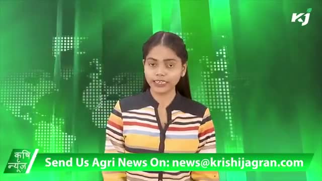 तोहफे में नींबू: Gujarat में हुई शादी में दूल्हे को मिला अजीब उपहार, मेहमान बोले- इसकी जरूरत पड़ेगी
#lemon #lemonprice