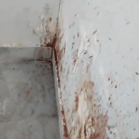 कदवा प्रखंड कार्यालय में गंदगी का अंबार, शौचालयों की व्यवस्था हद से ज्यादा खराब
#kadwa #katihar #news