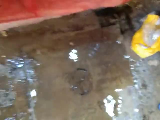 मिर्ज़ापुर: नाली जाम होने से दर्शनार्थी को संकट का सामना।
#नगर_पालिका