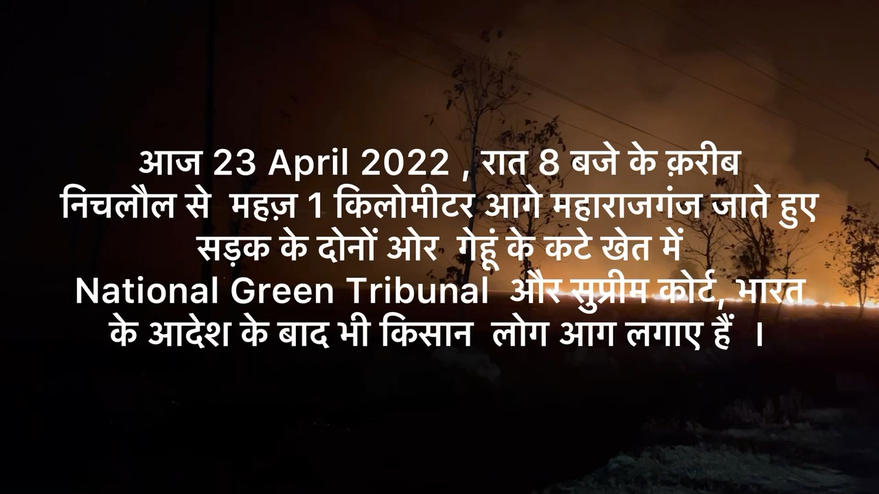 #environment #पराली_जलाने की #समस्या #महाराजगंज #जिला #उतरप्रदेश #NGTribunal #ngtindia #polution #smoke
