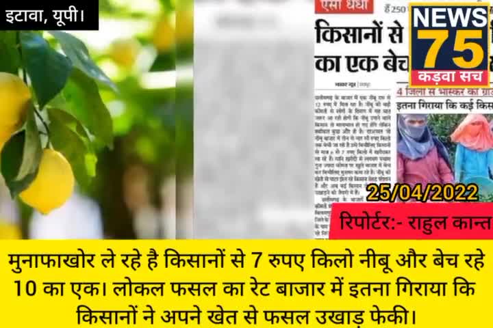 नीबू क्यों रहा मंहगा। देखिए मुनाफाखोर क्या करते है। #News75_कड़वा_सच #News75
#नीबू #मंहगाई