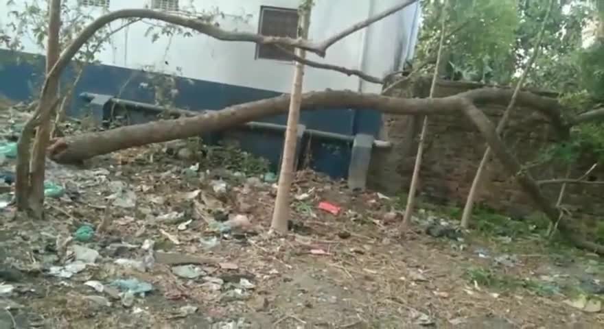 पुनपुन: बरवां पंचायत के कंसारी गाँव मे आंधी से नीम का पेड़ से हुई घटना को बताते हुए पत्रकार हेमंत राज । #कंसारी #Kansari