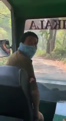 रामनगर- जिम कॉर्बेट की ढिकाला रेंज में पर्यटकों की गाड़ी पर हमलावर हुए गजराज।

#jimcorbett #pointhinditv
