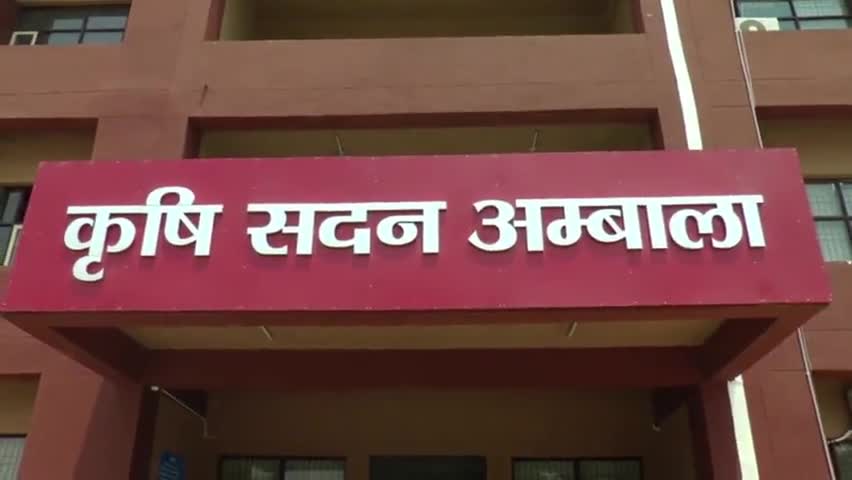 अम्बाला: गेंहू की खराब हुई फसल के मुआवजे के लिए किसानों को लगाने पड़ रहे दफ्तरों के चक्कर
#किसान #यूनियन #हरियाणा #अंबाला