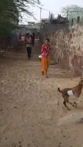 गांव गाजसर वार्ड नं 10में मोहल्ला पुरानी गोगा मेडी के पास पानी से परेशान मोहलेवासी #news #आजतक #gajsar