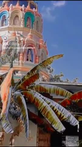 जय मां सिंहवांहनी माता रानी #सागर जिला#sagarmp #newsmp #news24bite #abhisekm53