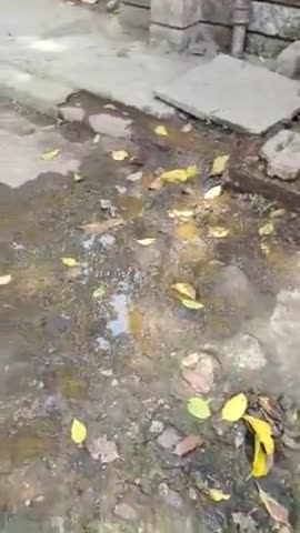 लखीमपुर: ये लखीमपुर सरकारी अस्पताल की दशा है इसकी तरफ भी ध्यान दिया जाये ताकि किसी को भी परेशानी का सामना ना करना पड़े #dmkheri