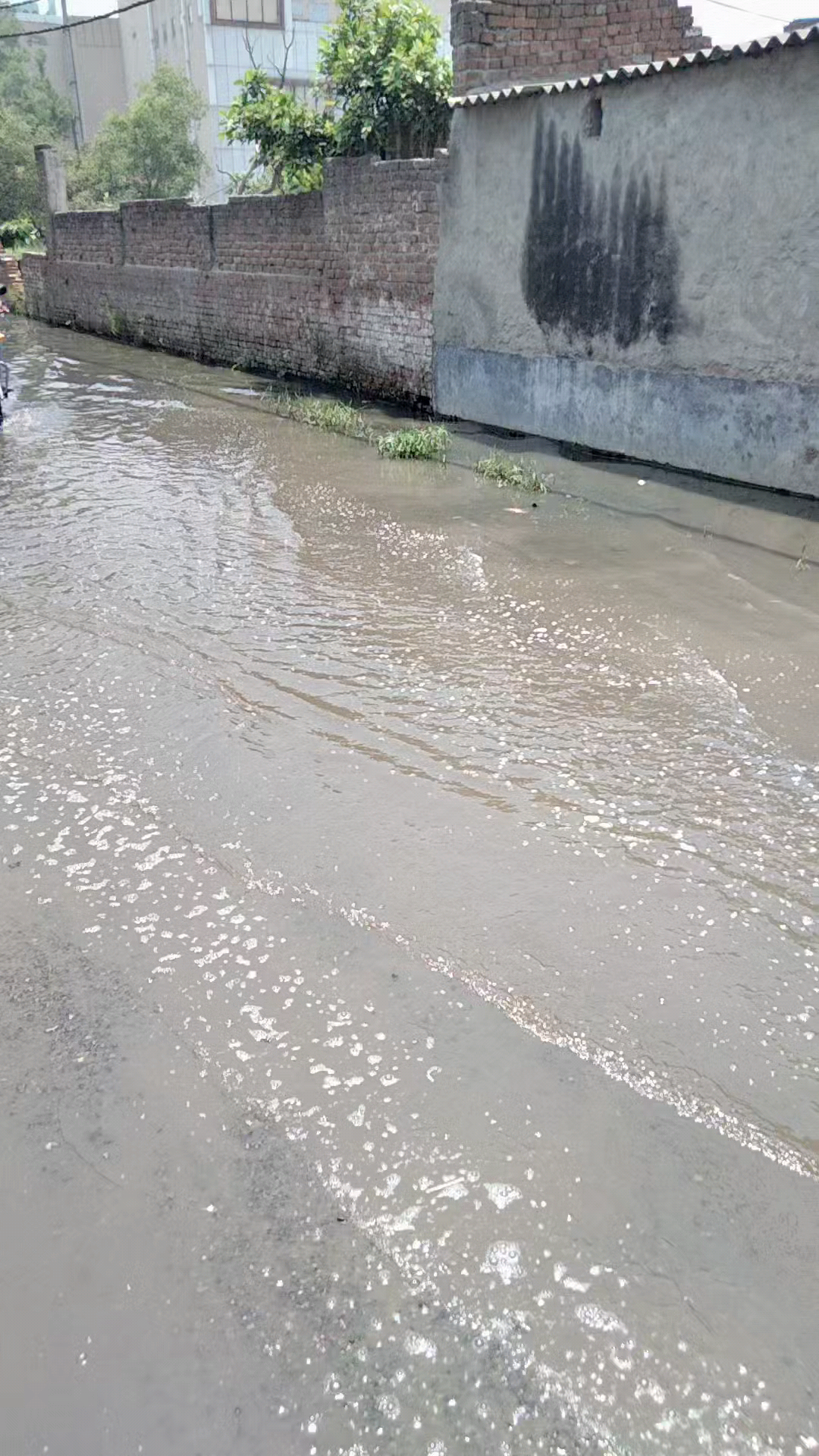 मेरठ: जल निकासी न होने से सड़क पर भरा गंदा पानी दे रहा बीमारियों को दावत #hindustan