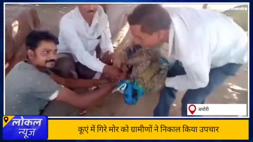 कुएं में गिरा राष्ट्रीय पक्षी को ग्रामीणों ने 2 घंटे की मशक्कत से निकाला। #Nationalbird #राष्ट्रीयपक्षी  #मोर #peacock