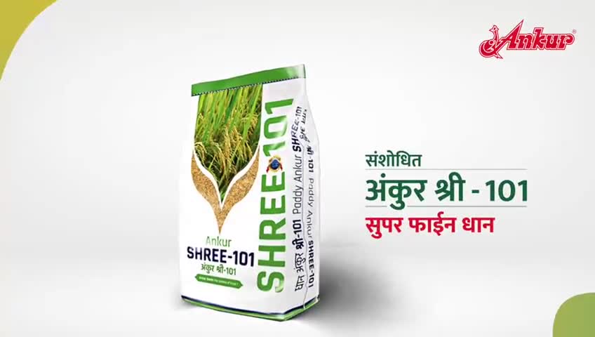 #तिरुपति एग्री सीड्स कटंगी