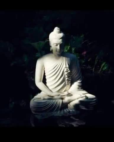 सत्य, न्याय, करुणा, प्रेम व सद्भाव के लोकप्रतीक, शोषितों, पीड़ितों व वंचितों के वैचारिक मार्गदर्शक एवं मानवीय मूल्यों के आत्मीय प्रेरणास्रोत महात्मा बुद्ध जी के जन्मोत्सव यानि बुद्ध पूर्णिमा की अनंत शुभकामनाएं ! 
#BuddhPurnima
