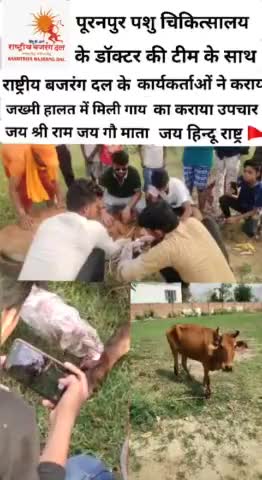 पूरनपुर राष्ट्रीय बजरंग दल के कार्यकर्ताओं ने जख्मी हालत में पड़ी गाय का कराया उपचार।
#जय_गौ_माता