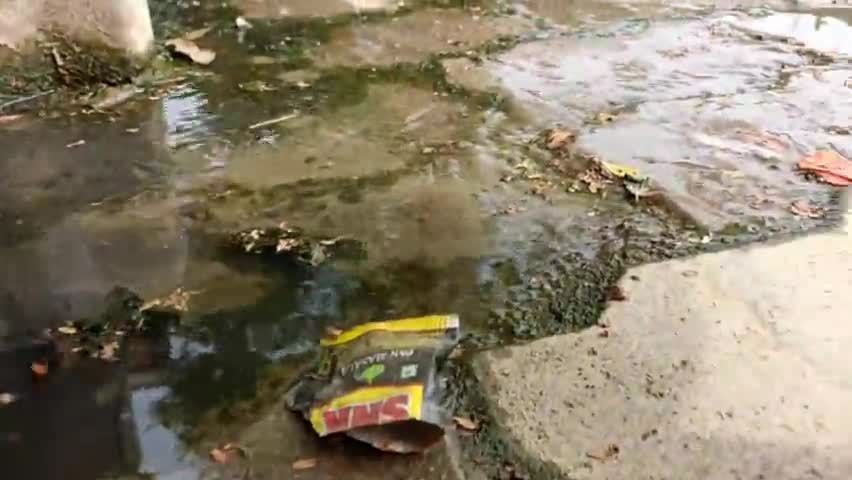 कानपुर: वार्ड 21 खांडेपुर नौबस्ता में रोड बनी वाटर पार्क जिसका ना तो प्रशाशन और ना तो सभासद ध्यान दे रहे हैं 
#सावित्री स्कूल