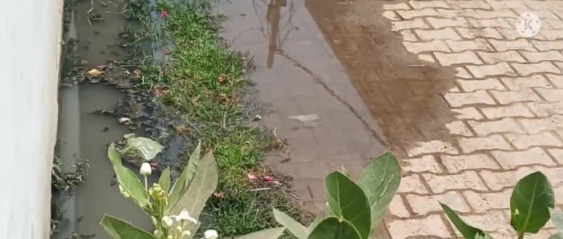 बरेली: नगर निगम में नाली समस्या का फ़र्ज़ी निस्तारण,वीरसावरकरनगर अम्बिका फेस 3 में लोग 2 साल से गटर में जीने को मजबूर#नाली