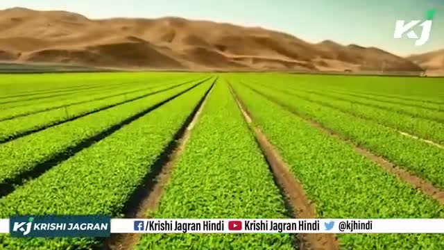 vermicompost

#vermicompost #earthworm #farming 
#agriculture @