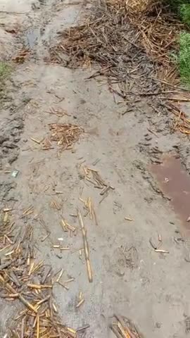 😭😭बहुत दुखद ये तस्वीर हैं। Please share & support  #granin#pharhi #road #sarak #narpatganj #news #villagenews