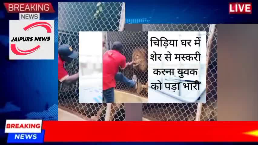 चिड़िया घर में शेर से मस्करी करना युवक को पड़ा भारी#viralnews #lion #zoo #breakingnews