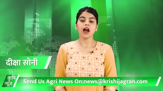 Edible Oil : तेल उत्पादकों के लिए खुशखबरी , सरसों का तेल 40 रुपये हुआ सस्ता 
#Petrol #Diesel #EdibleOil