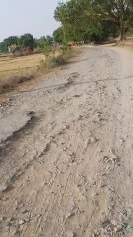 #राजपुर #पकड़ी सड़क की स्थिति #बद से बद्तर