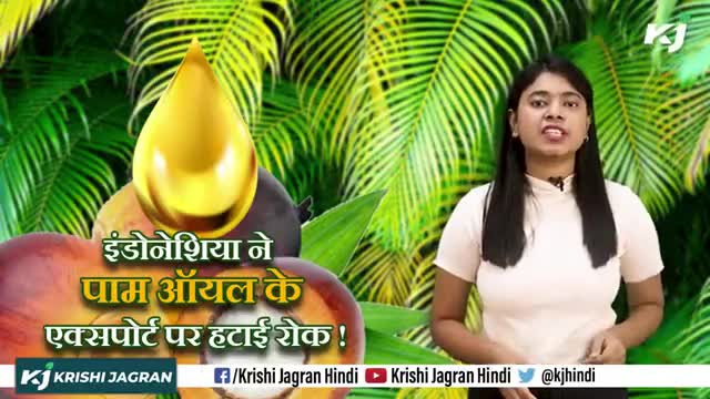 India : भारत में किस तेल के आयात से होता है करोड़ों का मुनाफा ! 
#Indonesia #EdibleOil #Export