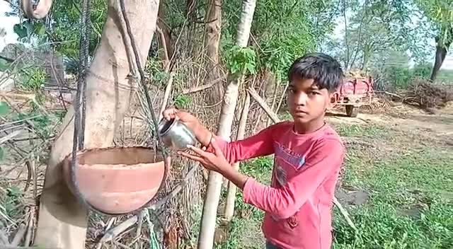 🍜#सकोरा_अभियान🦜
==============
द्वारा– *"जन चेतना मंच"*
#उद्देश्य– पक्षियों को प्यास से बचाना।
दिवस - 11