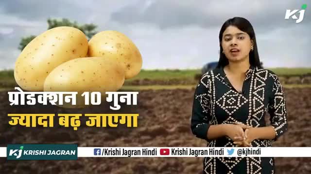 Aeroponic Method : बिना मिट्टी और ज़मीन के इस तकनीक से उगाए आलू 

#PotatoFarming #AeroponicMethod