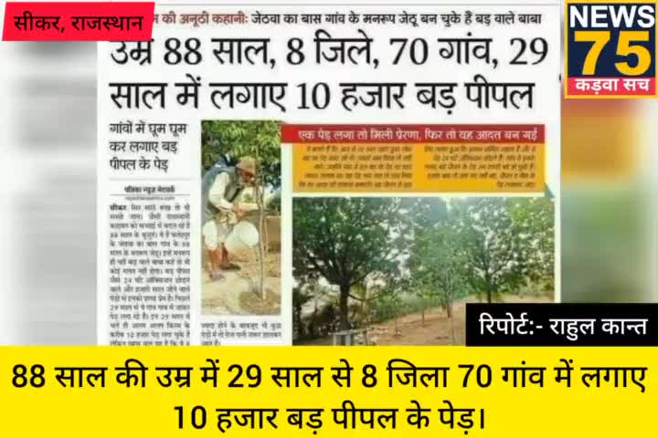 इस बुजुर्ग ने 29 साल में लगाए बड़ पीपल के पेड़। #जिला_सीकर #राजस्थान #बड़_पीपल 
#ऑक्सीजन