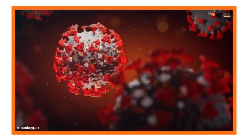 Monkeypox Virus: दुनिया पर मंडरा रहा मंकीपॉक्स का खतरा, क्या हैं लक्षण और क्या बरतें सावधानी।
#monkeypox  #pointhinditv
