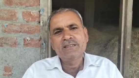 तिलहर: तीन दशक पुराने मामले में नवजोत सिंह सिद्धू को मिली सज़ा पर शख्स ने कहा-सिद्धू को जो सज़ा हुई सही हुई #सिद्धू