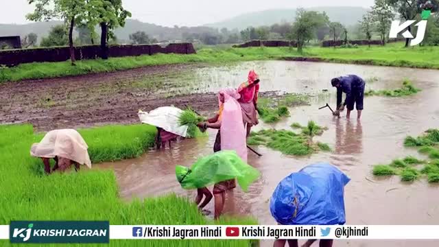 Crops : Zaid की खेती करने वाले रहें सावधान !


#crops #rain #moongfarming #agriculture