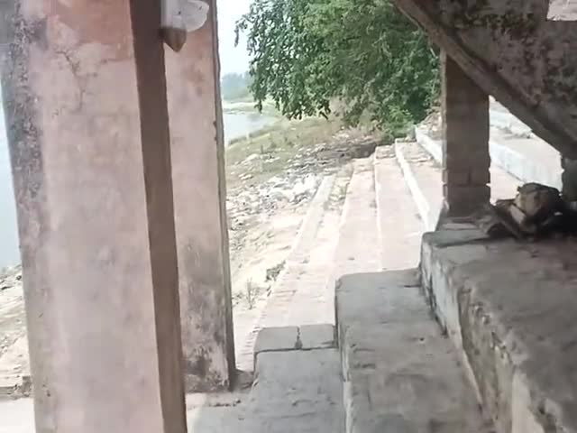 गोकना घाट देखे कैसा यहां पर होता है  अंतिम संस्कार #रायबरेली #गोकनाघाट #श्मशानघाट #गंगागाघाट #raebarelivlogger