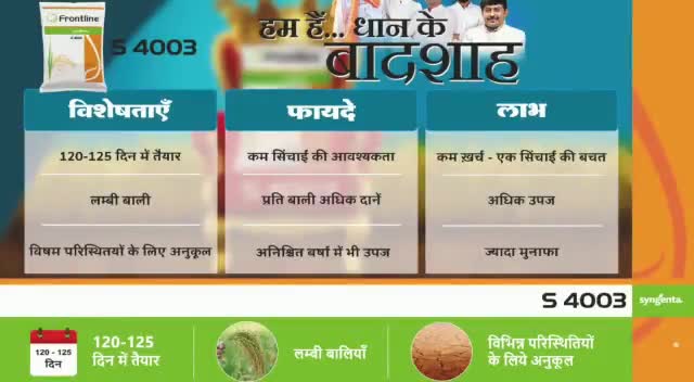 लंबी वाली ज्यादा धान खुलेगी किस्मत  बढ़ेगा मान#live_news #cmochhattisgarh