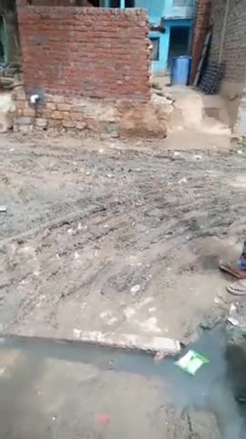 भिंड: phoop bard no. 2 . kharab sadak . maintenance week . nagar palika no action this way ....@#cleaning  #india_news  #india