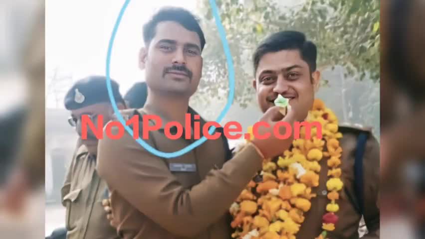 भिंड 10 साल से फर्जी तरीके से नौकरी कर रहा आरक्षक अजय सिंह गुर्जर,STF के हत्थे चढ़ा
#bhind #bhindnews #police #bjp #mpp