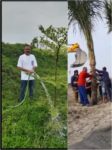 सांसे हो रही है कम , चलिए वृक्ष लगाए हम।
आप सभी को विश्व पर्यावरण दिवस की हार्दिक बधाई ।।
#WorldEnvironmentDay2022