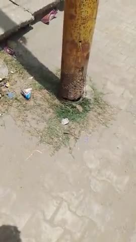धनौरा: किसी की जा सकती है जान बिजली विभाग कि लापरवाही की वजह से #gajraula mandi rood #amroha#Lucknow