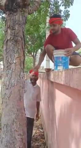 पर्यावरण दिवस के अवसर पर बिहारी स्थित मध्य विद्यालय में पूर्व से लगे पेड़ों पर श्रमदान किया
#jamui #bihari24