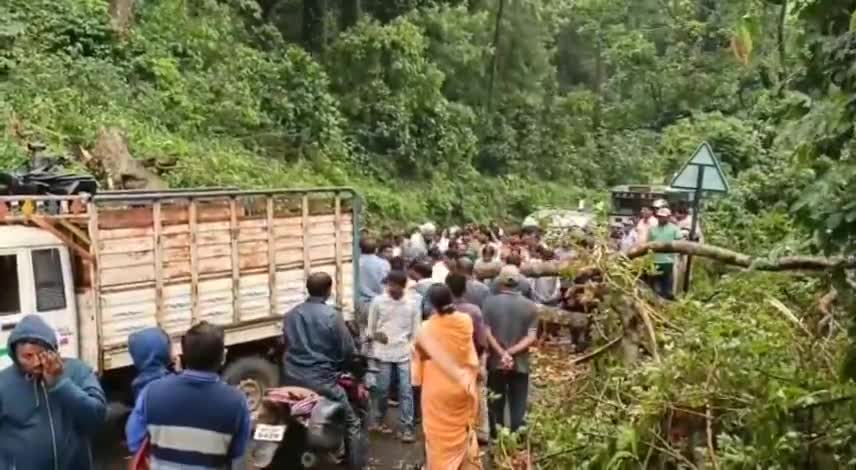 పాడేరు: డైమండ్ పార్కు వద్ద కూలిన భారీ వృక్షం.. కిలోమీటర్ల మేర నిలిచిపోయిన వాహనాలు