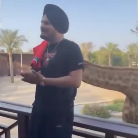 साडा #sidhumoosewala  बाई एनिमल लवर भी सी , सदके तेरे जट्टा ।।।।
दबई दे शेख नाल बाई दी शानदार वीडियो ।।।।