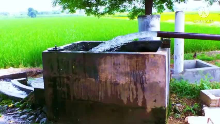 गन्नौर: हरियाणा सरकार ने किसानों को ट्यूबवेल कनेक्शन देने के लिए जारी किए  नए निर्देश
#uhbvn #haryanasarkar #sonipat #Ganaur