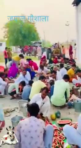 नाथूसरी चौपटा: जमाल गांव गोशाला मे तरबूज और पानी की सेवा करते हुए गांव वाले #sirsabreaking