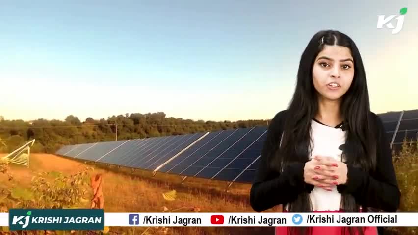 Free Electricity : अब घर पर बनाएं बिजली ? 

#FreeElectricity #SolarPanel #SaveElectricity