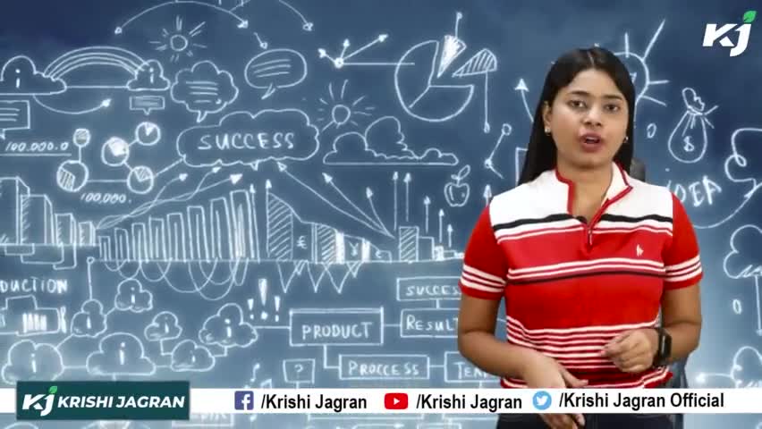 Kisan : Organic खाद के Business से कमा सकते है लाखों 

#OrganicFertilizer #Startup #Profit