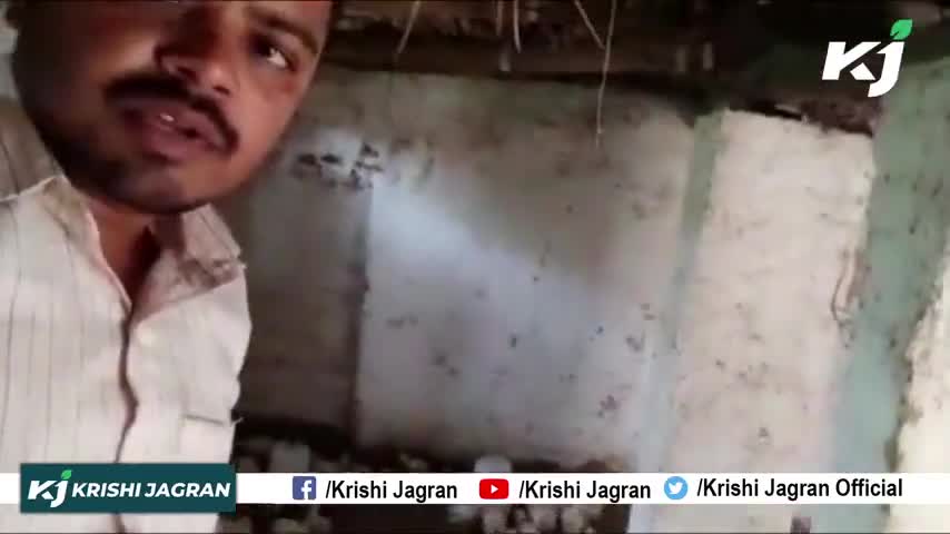 Poultry Farming : मुर्गी पालन का सही तरीका | Murgi Palan | Animal Husbandry


#PoultryFarming #MurgiPalan #Henshed